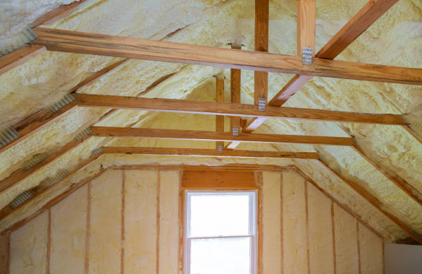 Best Spray Foam Insulation in Eastwood, LA