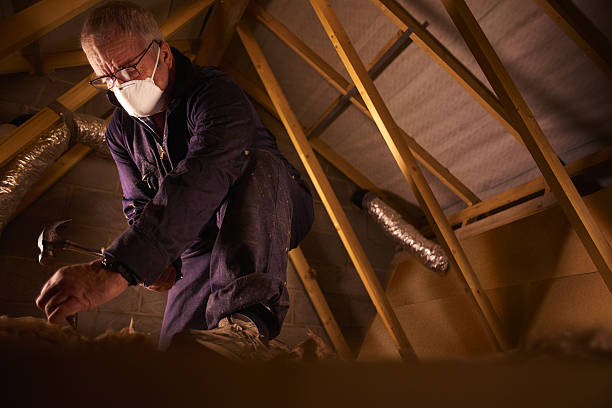 Best DIY Insulation Kits and Guidance in Eastwood, LA