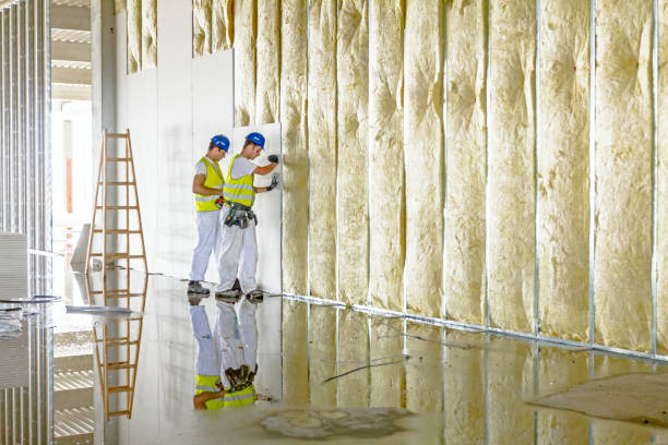 Best Spray Foam Insulation in Eastwood, LA